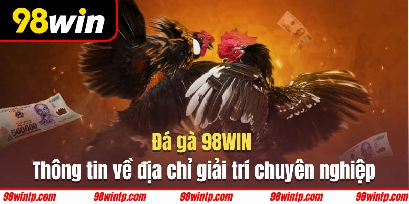 Thiên đường đá gà trực tuyến tại 98WIN