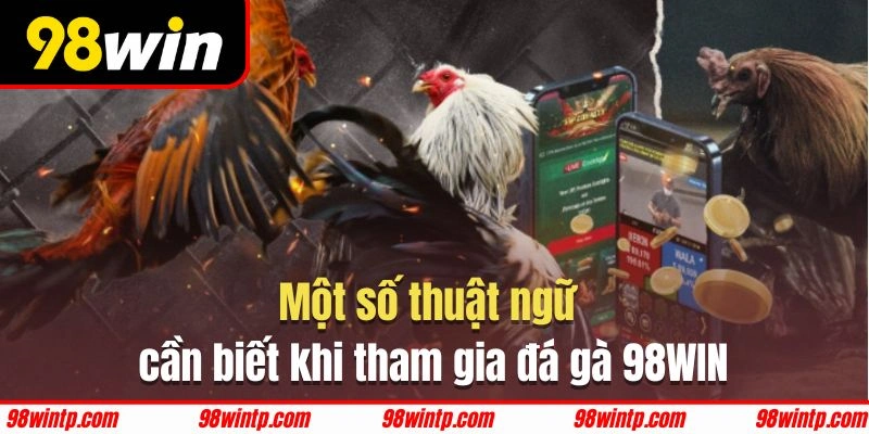 Những thuật ngữ quan trọng dân đá gà 98WIN cần biết