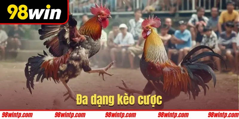 Các loại hình đá gà tại đấu trường Thomo