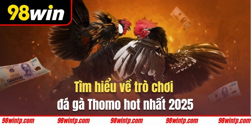 Giới thiệu thông tin tổng quan về đá gà thomo 98WIN