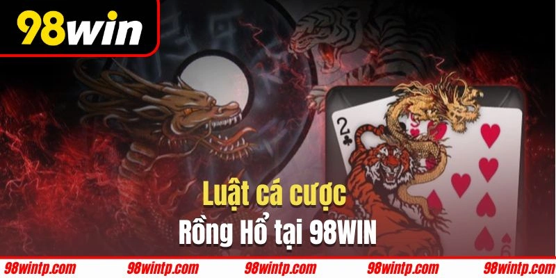 Nắm kỹ về luật đặt cược trước khi áp dụng mẹo chơi Rồng Hổ